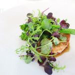 マダム・トキ - 