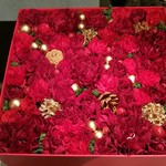 Nicolai Bergmann NOMU - 