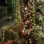 Nicolai Bergmann NOMU - 