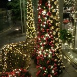 Nicolai Bergmann NOMU - 