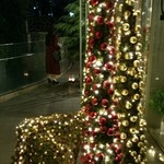 Nicolai Bergmann NOMU - 