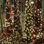 Nicolai Bergmann NOMU - 