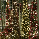 Nicolai Bergmann NOMU - 