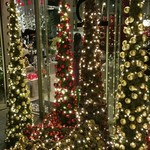 Nicolai Bergmann NOMU - 