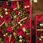 Nicolai Bergmann NOMU - 