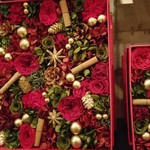 Nicolai Bergmann NOMU - 