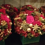 Nicolai Bergmann NOMU - 