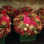 Nicolai Bergmann NOMU - 