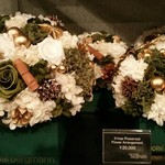 Nicolai Bergmann NOMU - 