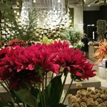 Nicolai Bergmann NOMU - 