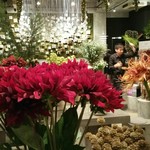 Nicolai Bergmann NOMU - 