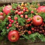 Nicolai Bergmann NOMU - 