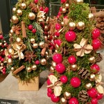 Nicolai Bergmann NOMU - 