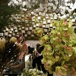 Nicolai Bergmann NOMU - 