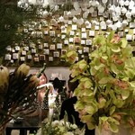 Nicolai Bergmann NOMU - 