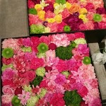 Nicolai Bergmann NOMU - 