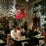 Nicolai Bergmann NOMU - 