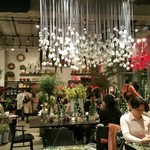 Nicolai Bergmann NOMU - 