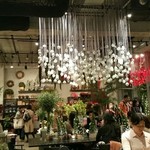 Nicolai Bergmann NOMU - 