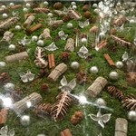 Nicolai Bergmann NOMU - 