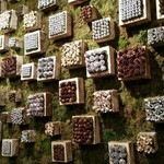 Nicolai Bergmann NOMU - 