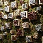 Nicolai Bergmann NOMU - 