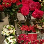 Nicolai Bergmann NOMU - 