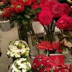 Nicolai Bergmann NOMU - 