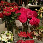 Nicolai Bergmann NOMU - 