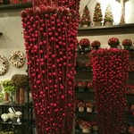 Nicolai Bergmann NOMU - 