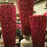 Nicolai Bergmann NOMU - 