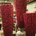 Nicolai Bergmann NOMU - 