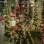 Nicolai Bergmann NOMU - 