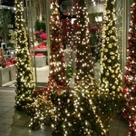 Nicolai Bergmann NOMU - 