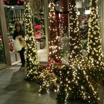 Nicolai Bergmann NOMU - 