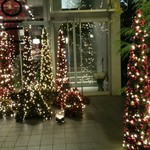 Nicolai Bergmann NOMU - 