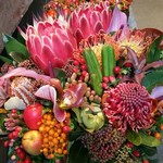 Nicolai Bergmann NOMU - 