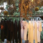 Nicolai Bergmann NOMU - 