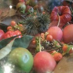 Nicolai Bergmann NOMU - 