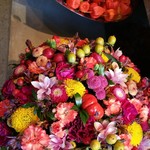 Nicolai Bergmann NOMU - 