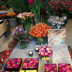 Nicolai Bergmann NOMU - 