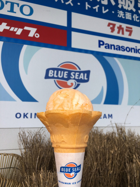 ブルーシール スターチャイルド石垣店 石垣市 アイスクリーム 食べログ