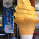 石垣島鍾乳洞 - 料理写真:ブルーシール  (´∀｀)/ マンゴーソフト