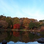 昭和記念公園　バーベキューガーデン - 
