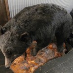 山小屋酒場 ケモノ - 熊です