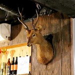 山小屋酒場 ケモノ - 鹿も出ています