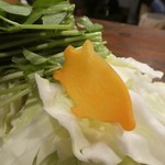 山小屋酒場 ケモノ - 猪カットの人参がかわいいです