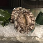 あざみ野うかい亭 - 