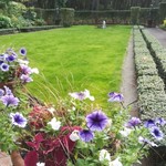 英国式庭園 - 