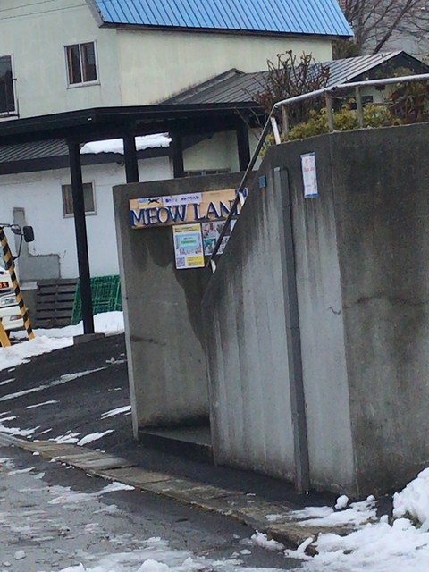 ミャウランド（Meow Land） - 小樽（その他）の写真